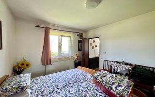 Ferma agricola, plantatii de mure, trandafiri, vita-de-vie - Poză 13