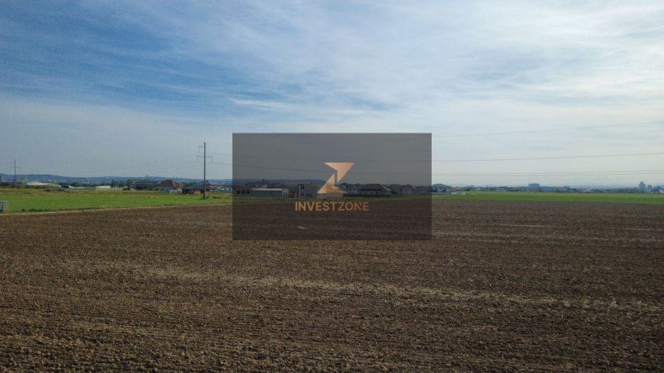 InvestZone vinde 10 ha la Santandrei - Poză 3