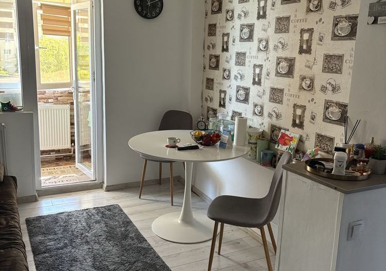 Apartament 2 decomandate- Lapus Arges - Poză 3