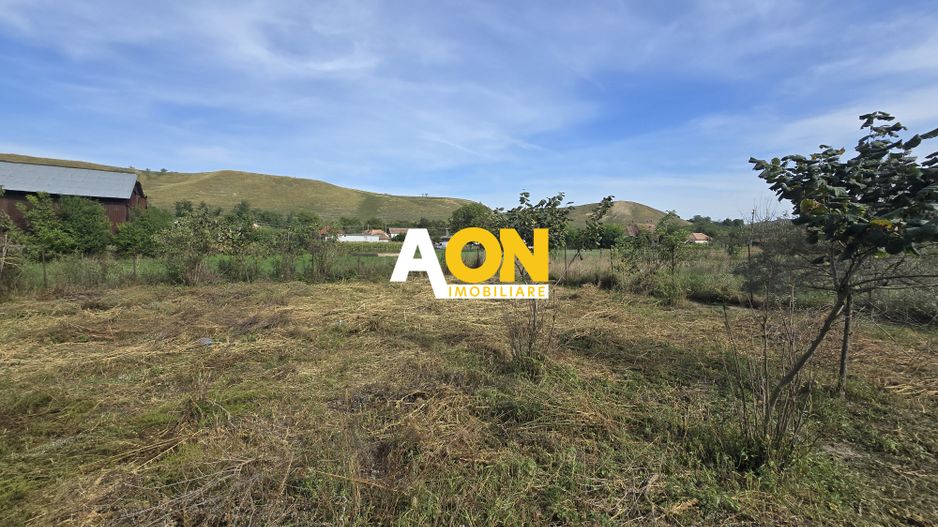 Casa 3 Camere, 1100mp Teren cu Garaj, Gura Ariesului - Poză 10