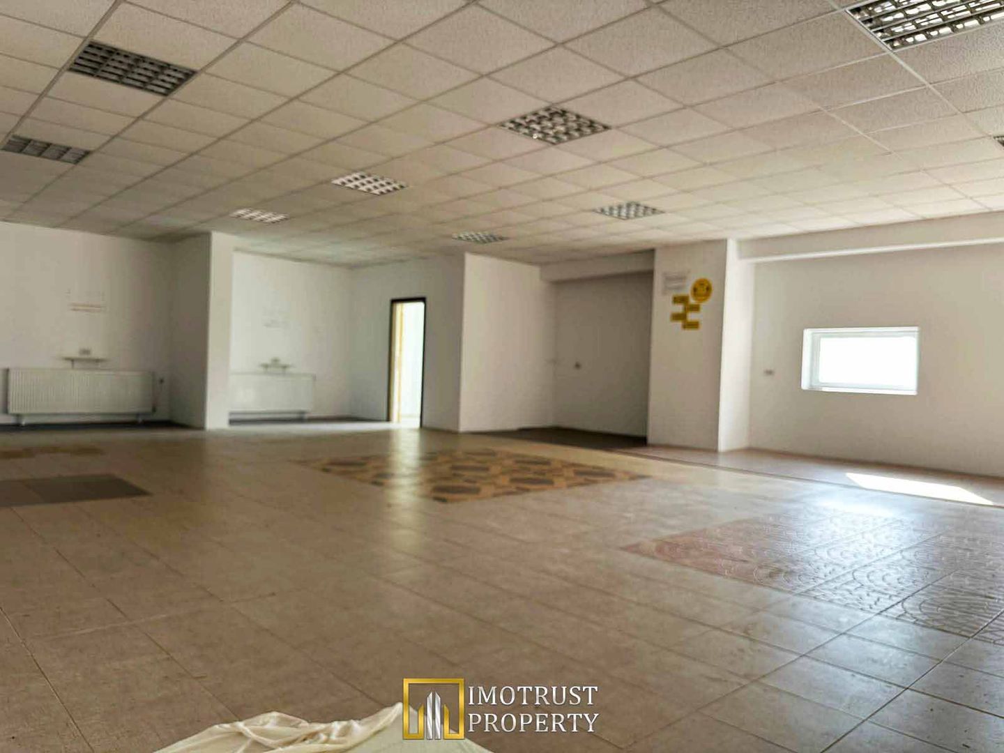 Hala industriala de inchiriat – Arad, Strada Padurii - Poză 6