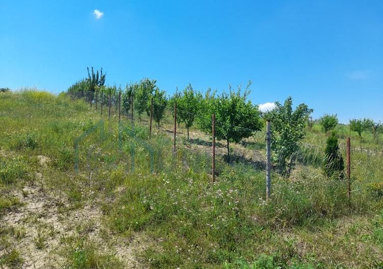 Tren in zona Copou Iasi, Numarul de - Poză 4