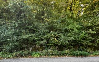 Teren extravilan de vânzare – Lacul Cinciș - Poză 5