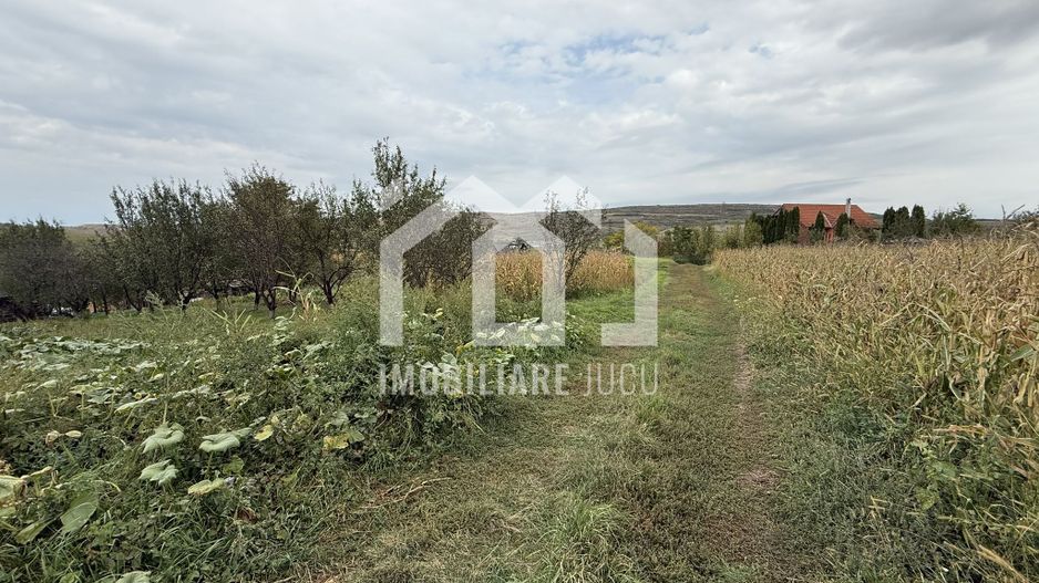 Teren construibil – 1.000 mp | Gădălin - Poză 4