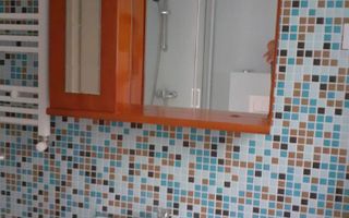 Apartament de închiriat, 1 cameră, cu terasă, Lunca Cetățuii - Poză 5