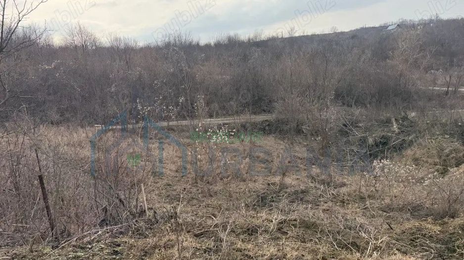 Teren cu priveliste superba, Vladiceni Iasi - Poză 4