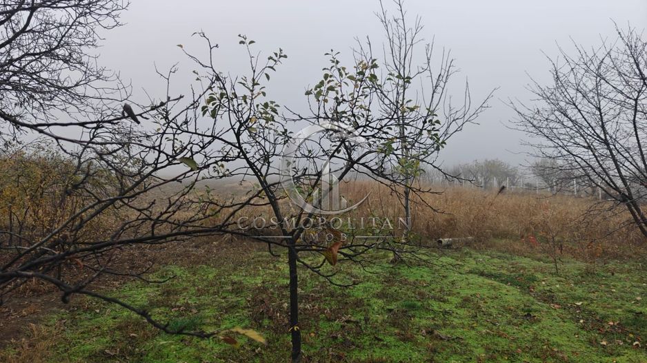 Teren intravilan 12.511 mp | Potoceni – Mărăcineni | Ideal pentru dezvoltare rez - Poză 4