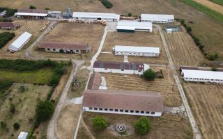 Proprietate industriala la 30 km exterior sud Timisoara - Poză 1