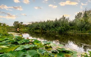 Teren Lacul Snagov 1.976 mp | 19,18 m front la lac | Vilă P+1 | 0% com - Poză 2