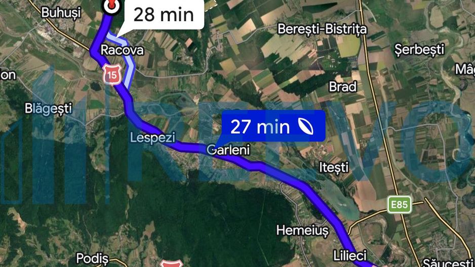 Teren intravilan lângă pădure, Racova - Poză 8