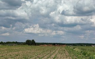 Teren intravilan Ciocanesti Cretu - 9282 mp divizat in 15 loturi - Poză 5