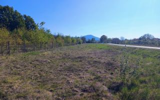 Teren Intravilan | 3444 mp | Tăuții Măgherăuș - Poză 2