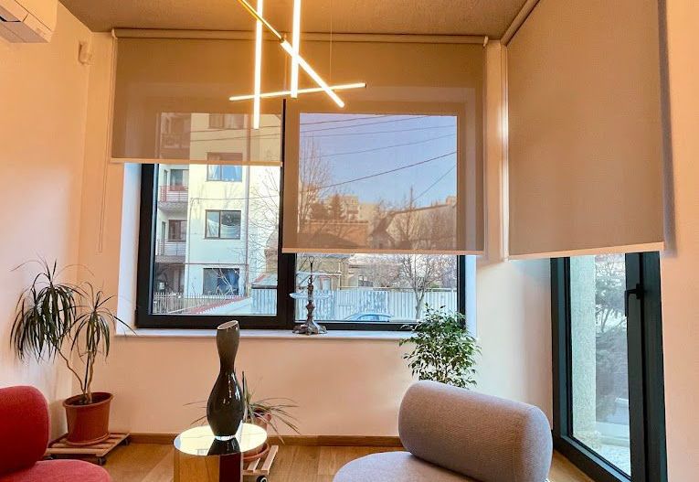 Spatiu Comercial / Nicolae Titulescu / Bulevardul Banu Manta / Victoriei Nou - Poză 5