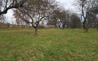 Teren 3966 mp-2 deschideri-curent-investitie-Budacu de Jos - Poză 1