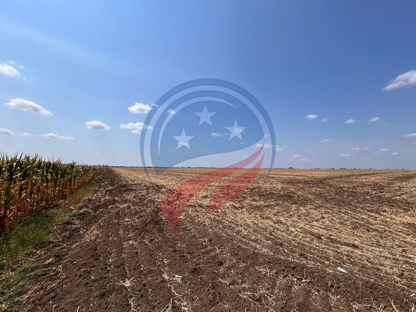 Teren intravilan de vanzare in Pielesti - Poză 2