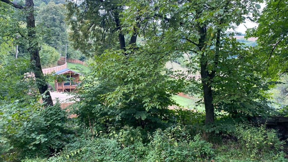 OPORTUNITATE TEREN DEZVOLTARE REȘEDINȚĂ IMOBILIARA DE LUX - Poză 5