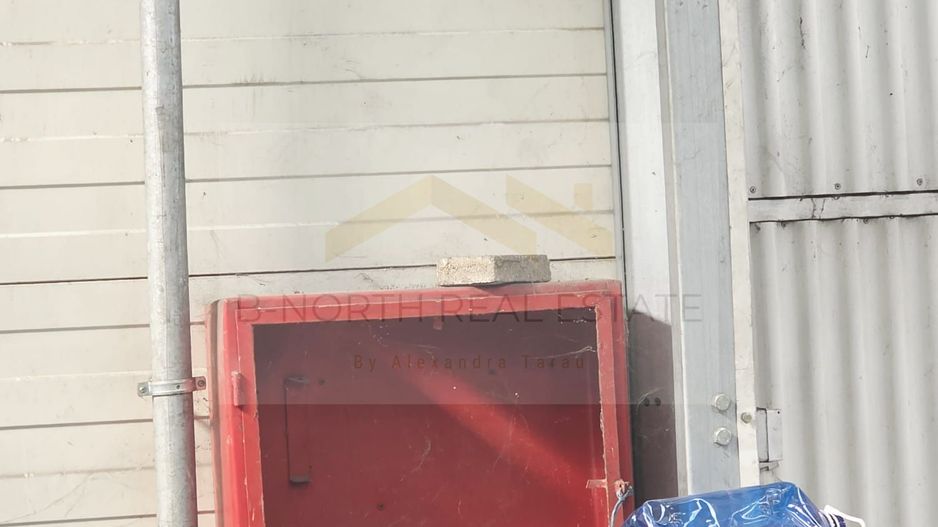 Spre Inchiriere : Spatiul Comercial si Depozit - Poză 4