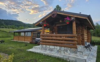 Cabana de Vis Valcanesti Prahova ! - Poză 2