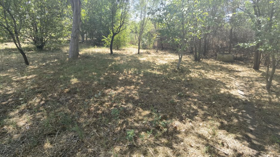 Spatiu industrial zona Sud-Arad - Poză 27