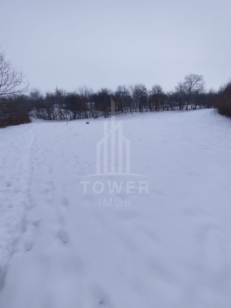 Teren intravilan 2.295 mp, deschidere 60 m – Rășinari, comision 0% - Poză 8