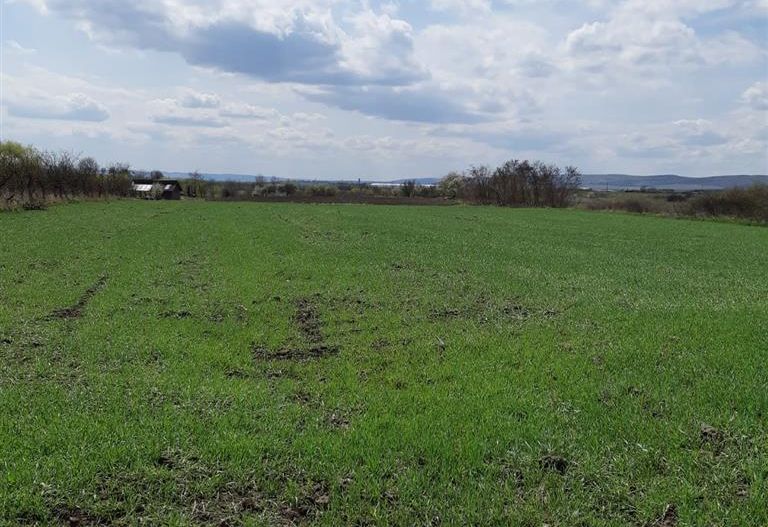 Teren extravilan 5.900mp,langa lac,acces dublu,apreciabil potential,Breaza,Mures - Poză 2