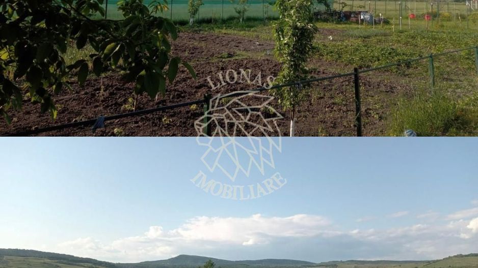 Casa noua - 120 mp- Parter - Teren 800 mp - Zona Teren sport Jelna - Poză 8