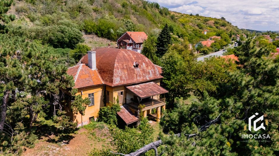 Vila Conac boieresc contelui Fabia 1920 de vânzare Păuliș Arad 2,4 ha - Poză 5