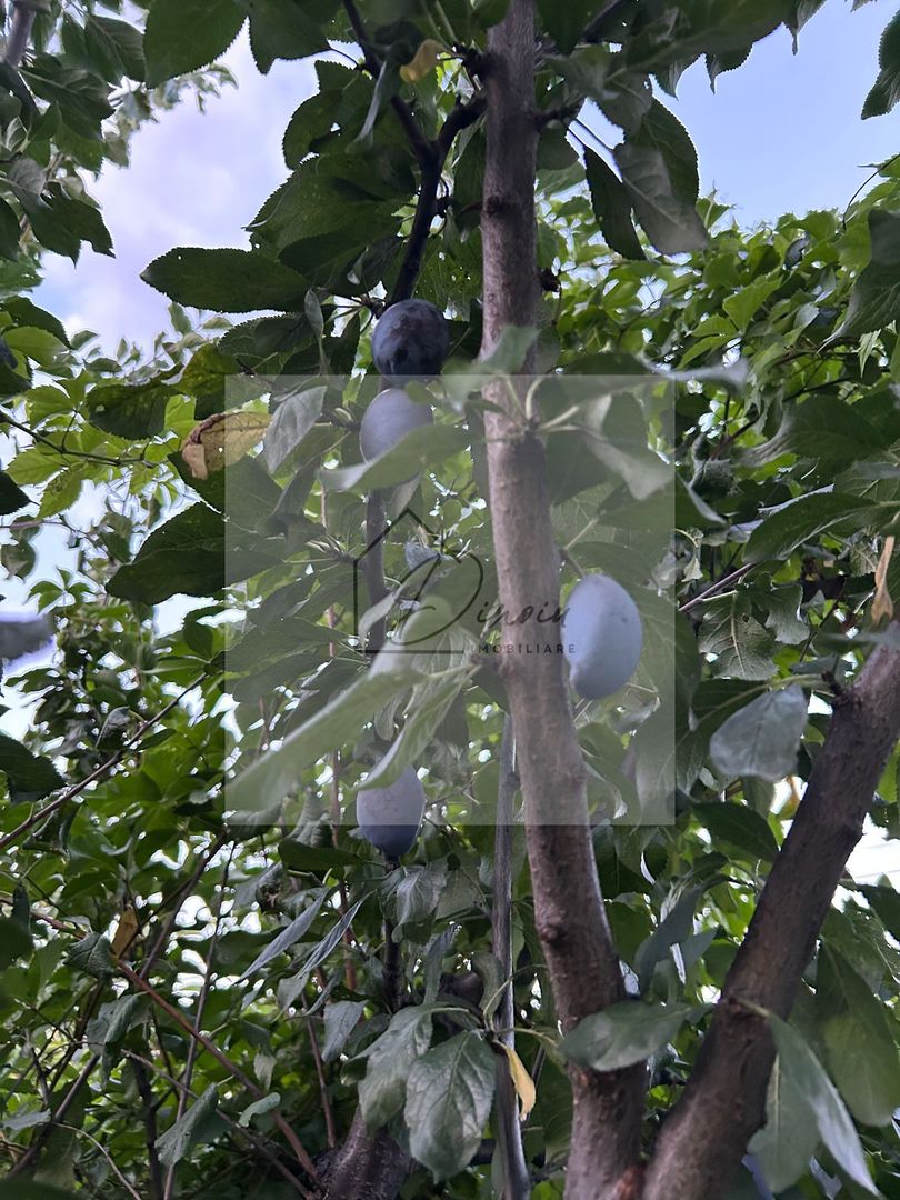 Vila de vanzare in Tunari I Gata de mutat I 4 camere I 5 parcari - Poză 50