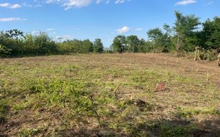 Oportunitate de Investiție Strategică | Teren Intravilan | Colonia Becas - Poză 2