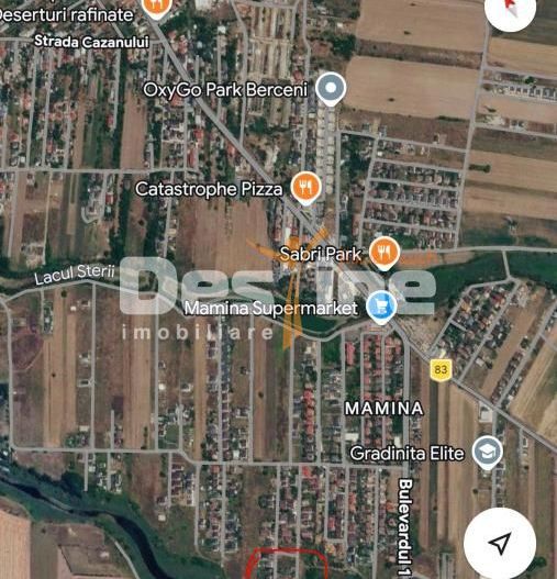 TEREN 2000 MP BERCENI MAMINA | DUBLĂ DESCHIDERE | IDEAL DEZVOLTATOR - Poză 3