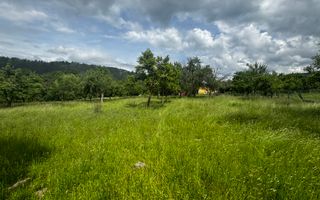 TEREN INTRAVILAN 4600 MP, VOINESTI, LERESTI, ARGEȘ - Poză 13