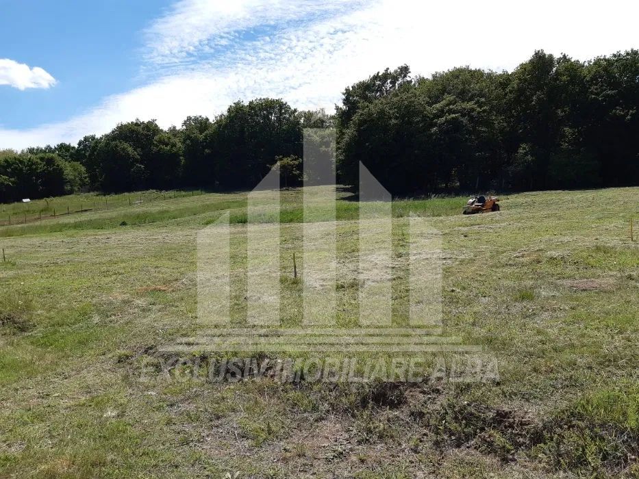 Teren intravilan de vanzare, Micesti - Poză 4