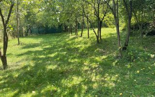 Casa de vânzare + teren intravilan, zona semicentrala - Poză 3