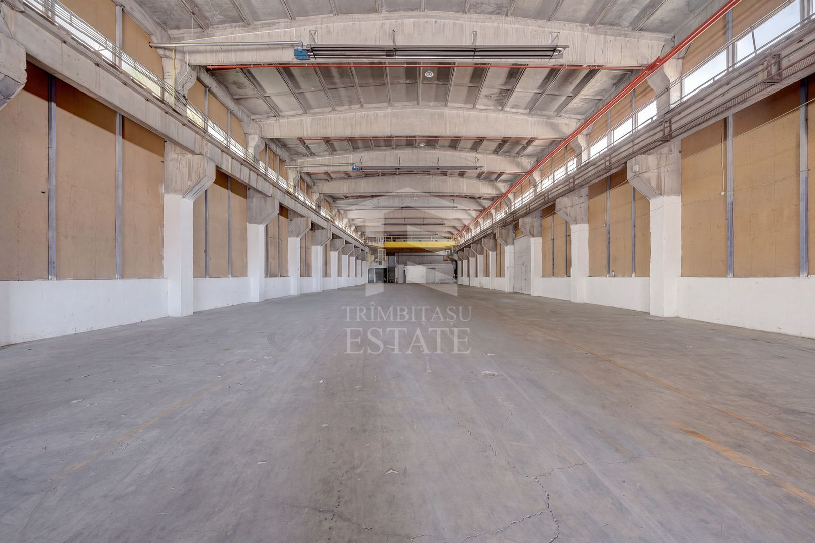 HALE INDUSTRIALE / DEPOZITARE – PLOIEȘTI, ZONA INDUSTRIALA  XENIA - Poză 6