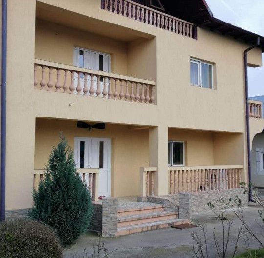 Inchiriere Vila Pitesti, Prundu Mic - Poză 2