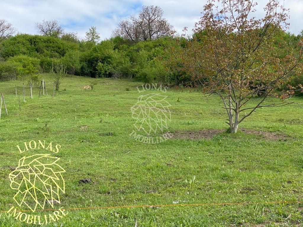 Teren Extravilan - Ghinda - 3.5000mp-Parcelabil - Poză 5