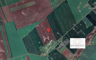 Calacea - Ortisoara Teren 20 Hectare - Parc Fotovoltaic - 2 Puncte LEA - Poză 3