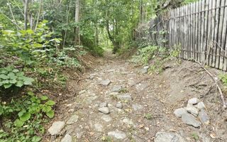 Teren intravilan de vânzare – 2.190 mp – Podu Vadului, Breaza - Poză 8