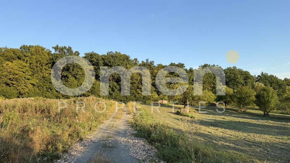 Teren intravilan de vânzare 7.000 mp – Groși, spre Dumbrăvița - Poză 2