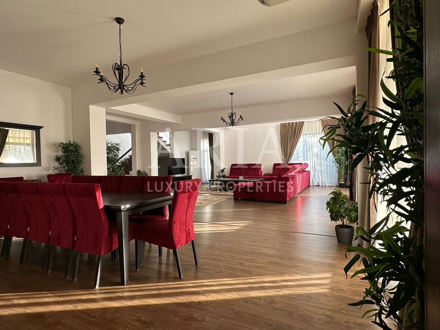 GRAND VILLA  PIPERA EROU IANCU NICOLAE - Poză 2