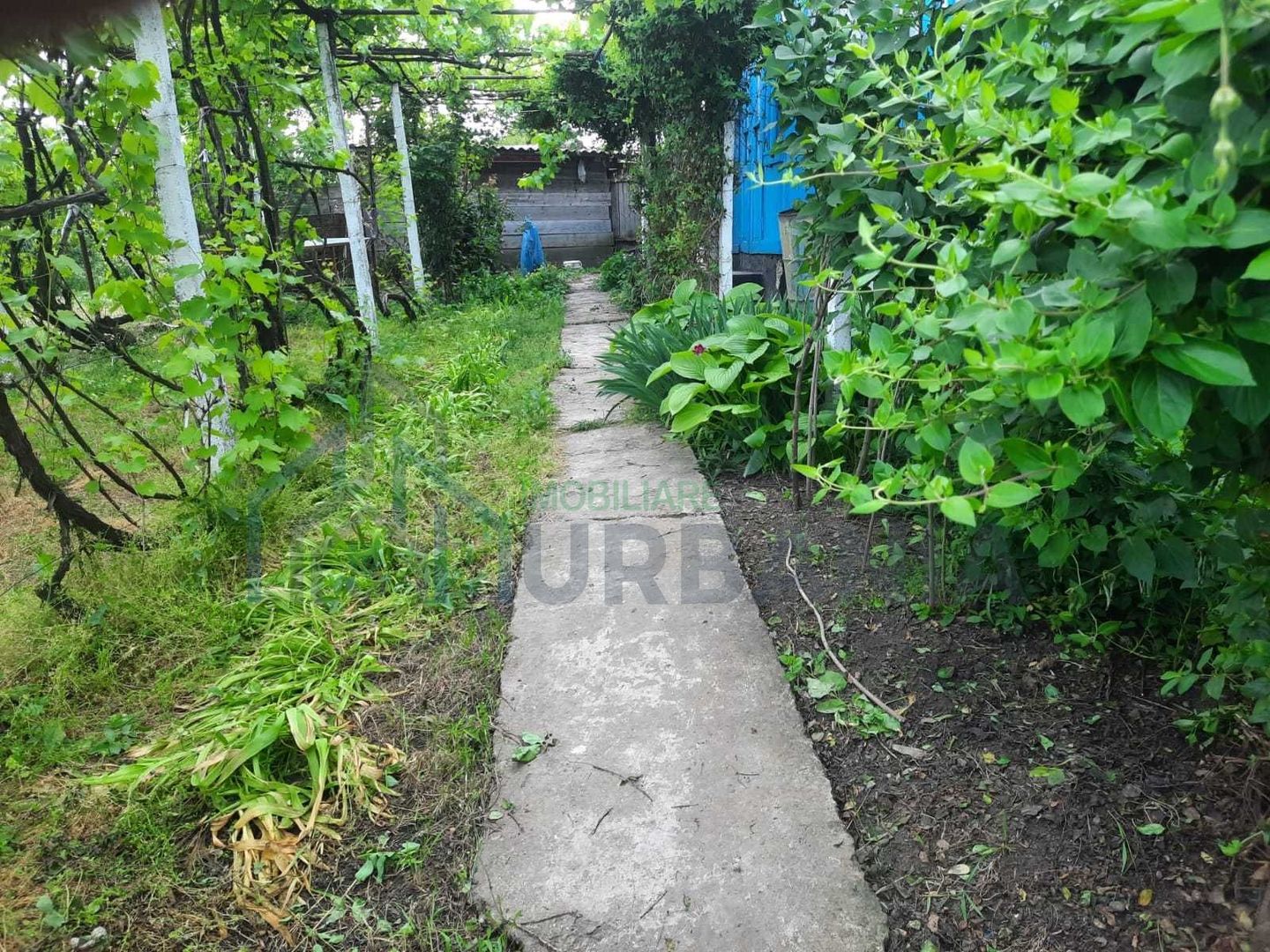 Teren intravilan 2.651 m² în Focuri, Iași – casă veche (1968) pe proprietate, ideal pentru demolare sau renovare - Poză 2