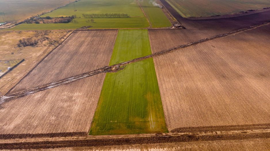 Teren în zona industrială Sagului - Poză 10