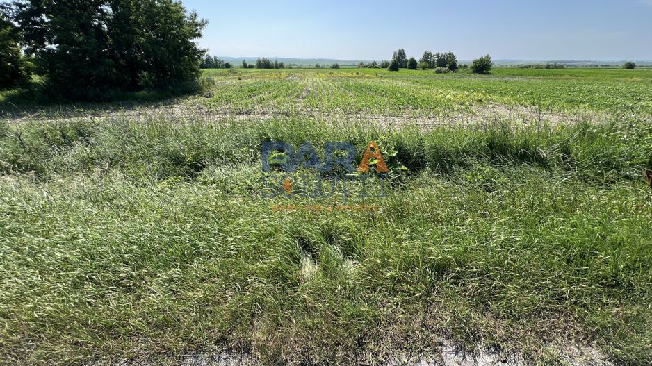 Teren 9969 mp, situat la E85, între două intrări pe autostrada A7 - Poză 5