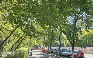 Apartament 3 camere decomandat | Bd. Gheorghe Șincai nr. 14 | Etaj 2 8 | Loc de parcare | 209.000 - Poză 4