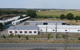 Hale depozitare/producție 2.000 mp si 10.000 mp teren în Pecica - Poză 1