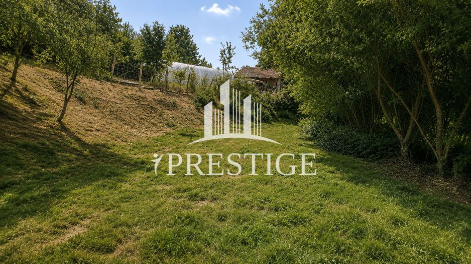 TEREN INTRAVILAN 1100 MP ÎN SĂCEL | ZONĂ PENTRU CASĂ + ACCES LA RÂU - Poză 11