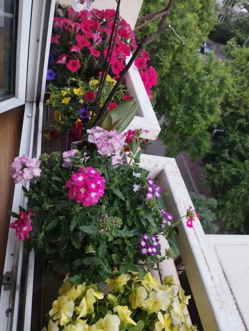 Apartament Timpuri Noi/Radu Vodă - Poză 1