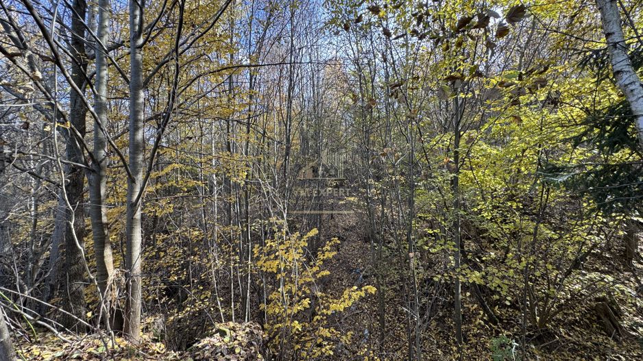 TEREN INTRAVILAN 13167 MP BUGHEA DE SUS ARGES - Poză 18