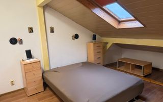 Apartament 195mp si garaj de 30 mp Stefan Cel Mare langa Politie - Poză 7