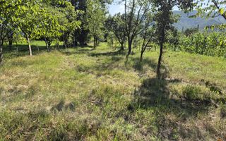 Teren intravilan 1.370 mp – Subcetate, – 10.900 euro neg., - Poză 4